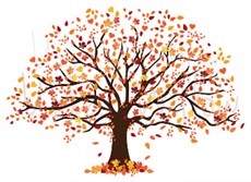 fall tree